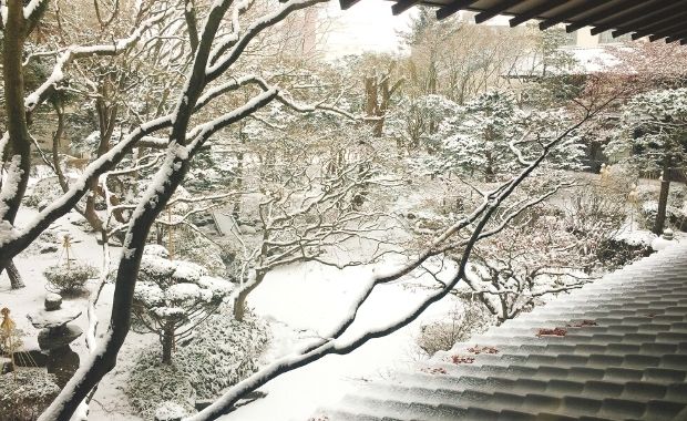 日本庭園　冬